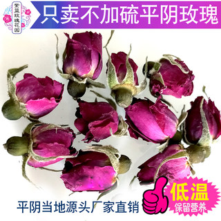 平阴玫瑰花茶100g药食干花蕾重瓣玫瑰无硫正品玫瑰花干花泡茶两用