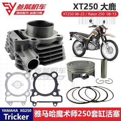 250套缸XT250气缸总成