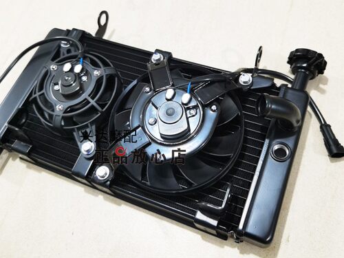 正品QJ600GS-3B赛600追600仿赛摩托车水箱总成冷却水箱散热器