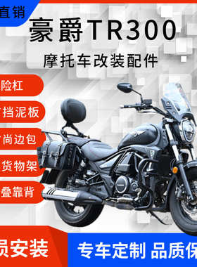 适用豪爵TR300保险杠伸缩折叠靠背后货架行李架前挡泥板边包改装