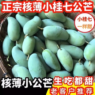 正宗广西百色田东小桂七生吃甜芒果5/9斤核薄小公果香芒新鲜水果