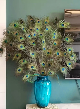 云南养殖孔雀毛真毛孔雀尾羽书房客厅餐厅卧室春节日装饰长短搭配