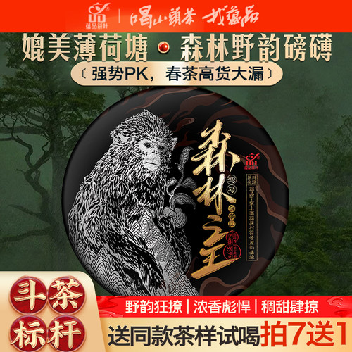 【库66】2025年头春《森林之王-弯弓白猴山》古树普洱生茶饼357g
