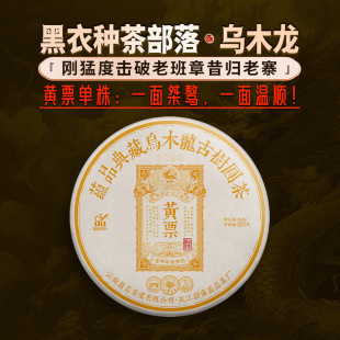 黃票烏木龍 云南古樹普洱生茶餅茶357g 2023年頭春 蘊品茶葉