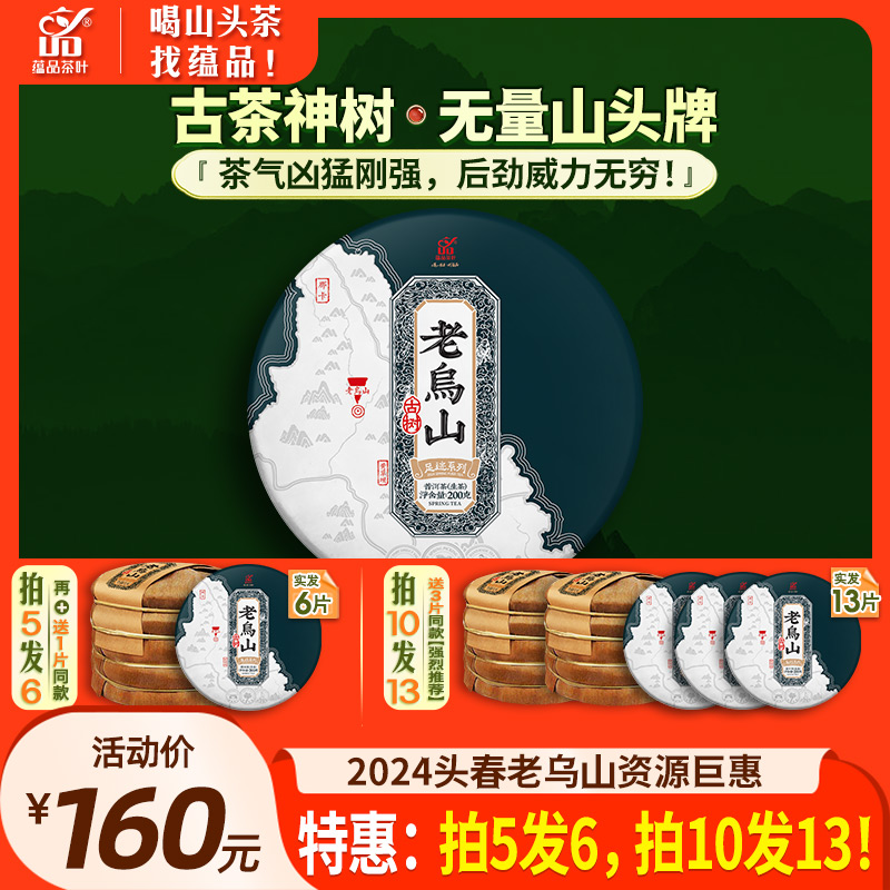 蕴品2024年头春老乌山普洱茶