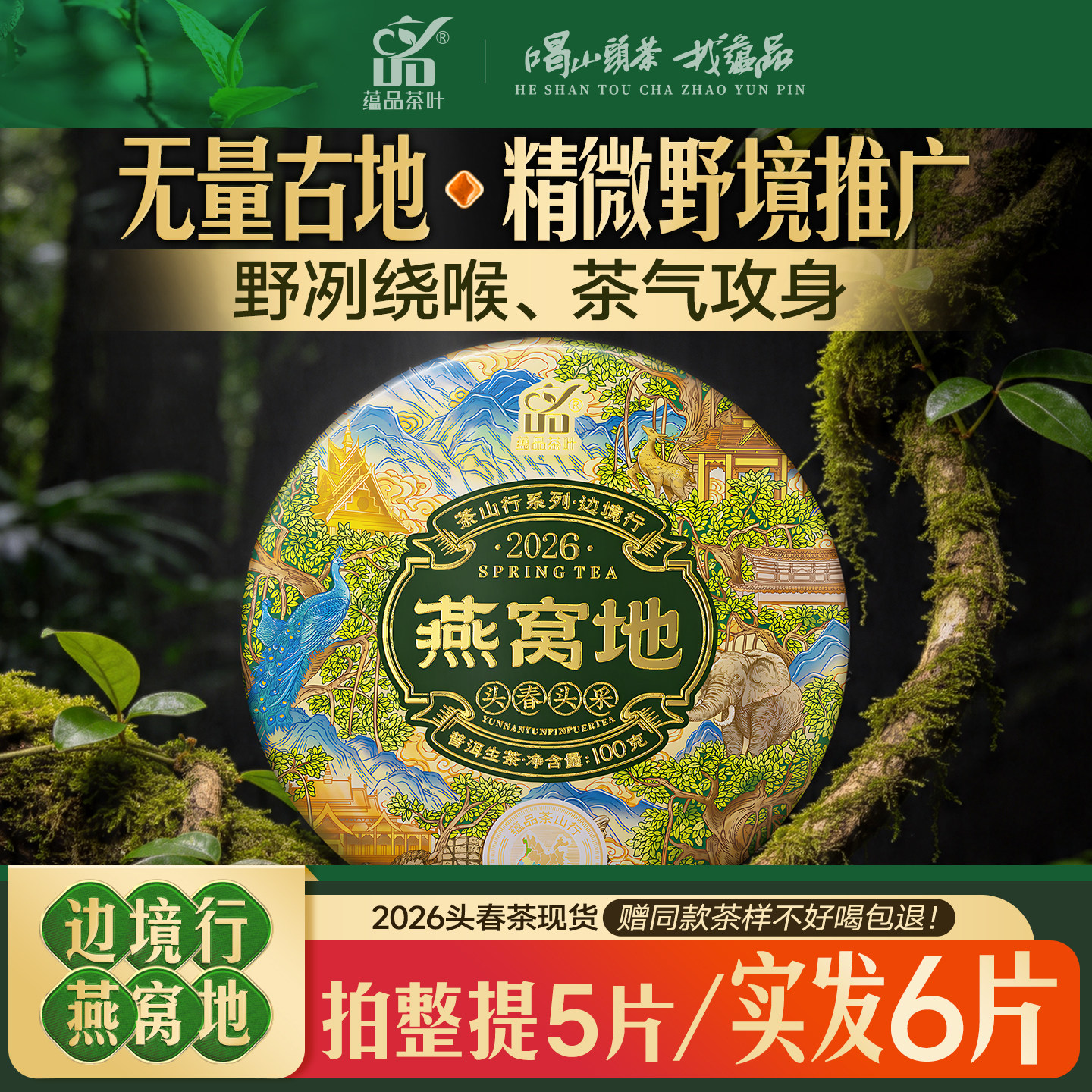 【库88】2026头春茶边境行系列《燕窝地》古树普洱茶生茶饼茶100g