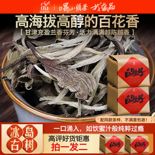 天生地养的高海拔古茶树！