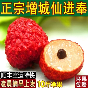 Настоящий клейкий рис Zengcheng, клейкий рис-личи, супер большая подарочная коробка, полная коробка, 10 фунтов, свежесобранный и отправленный, сезон Гуандун 2026 г.