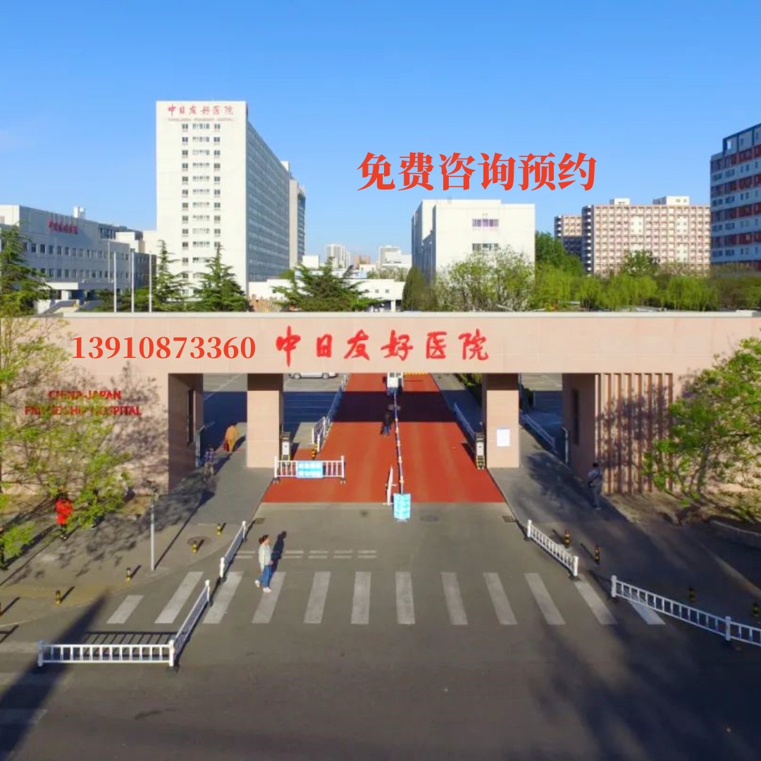 北京中日友好医院陪诊师预住院服务跑腿代问诊开药约检查取报告