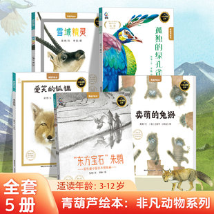 青葫芦绘本全套5册非凡动物科普手绘插画图画书珍稀动物朱鹮儿童读物早教启蒙认知故事书幼儿园3 6岁8岁小学生一二年级课外阅读