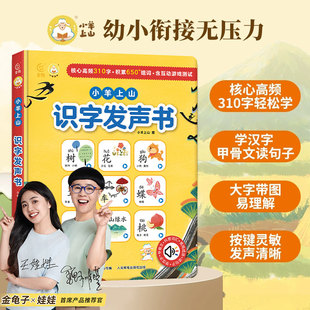 小羊上山识字发声书会说话 幼儿学汉字趣味认字幼儿园3 3岁玩具 7岁学前儿童绘本宝宝看图拼音教材 早教有启蒙学习机儿童点读0