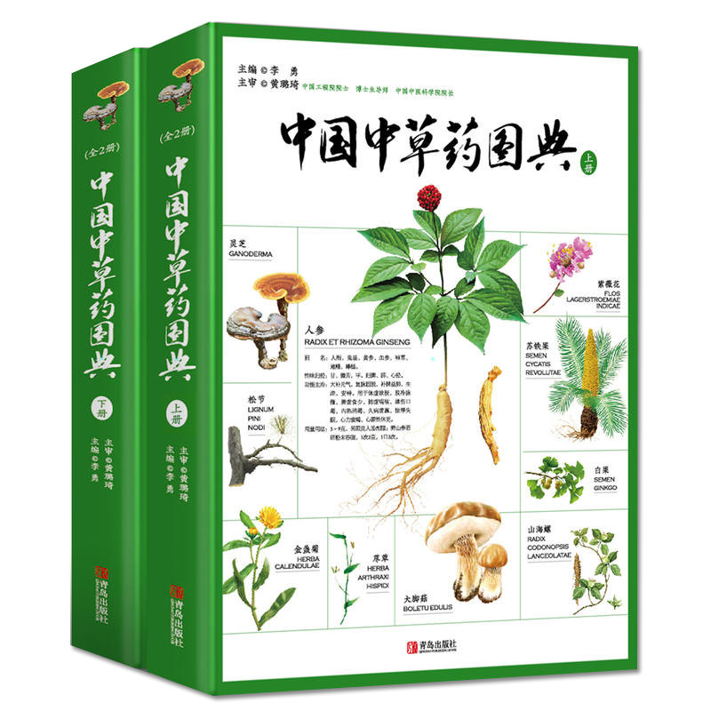 中国中草药图典鉴别中药的入门书人参灵芝药材介绍图解大全基础识别