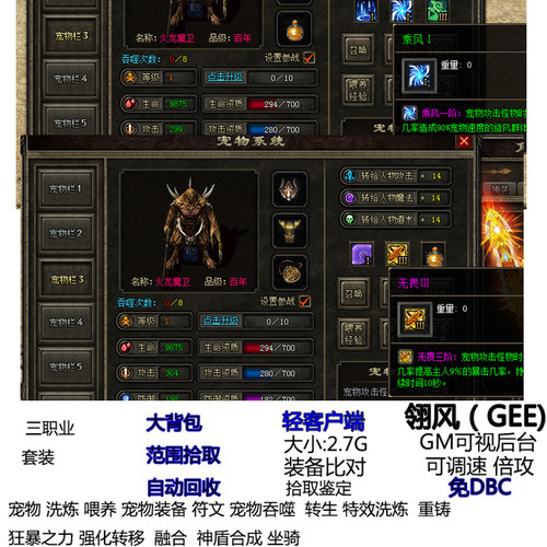 三职业天影传说暗黑复古宠物技能