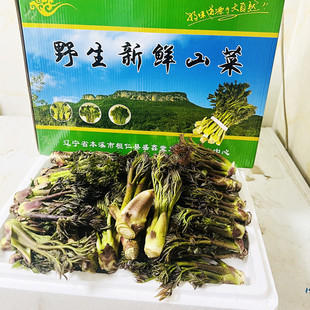 东北野生新鲜山菜刺嫩芽大叶芹猴腿婆婆丁小根蒜5斤野菜礼盒包邮