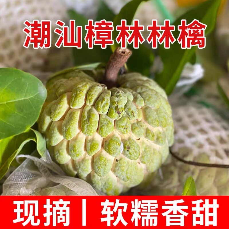 潮汕林檎大果番果荔枝图片