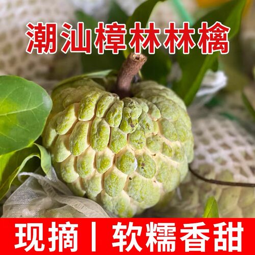 潮汕林檎大果番果荔枝