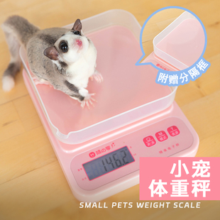 蜜袋鼯小宠体重秤电子高精度克数秤仓鼠鹦鹉厨房小基数称精确到克