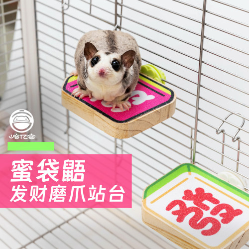 崎亿宫|蜜袋鼯发财磨爪跳台玩具彩色攀爬站点踏板仓鼠蜜袋鼬用品
