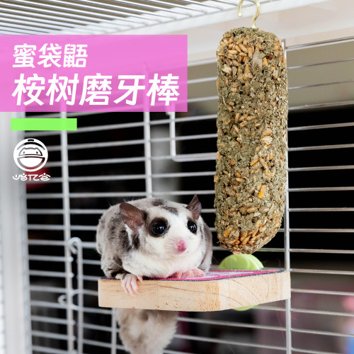 蜜袋鼯专用桉树叶磨牙棒零食