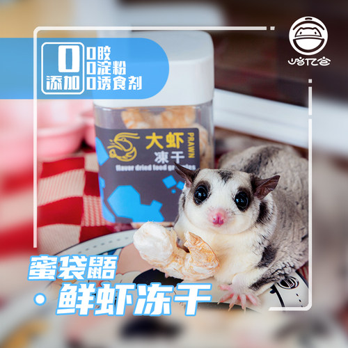 蜜袋鼯大虾仁冻干零食
