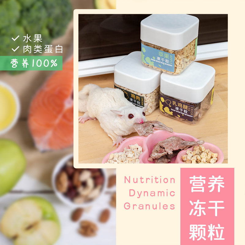 蜜袋鼯美毛零食蜜袋鼯食物崎億宮