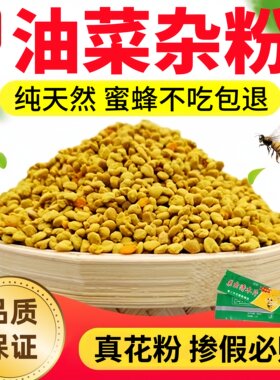 花粉养蜂喂蜂油菜杂粉茶花正品天然中蜂专用蜂粮纯粉颗粒蜜蜂饲料