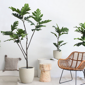 西西里仿真绿植北欧落地植物面包树盆栽家居客厅装 饰大堂酒店景观