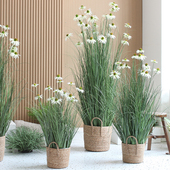 仿真绿植造景芦苇松果菊高端盆栽摆件大型植物室内装 店 饰家居服装