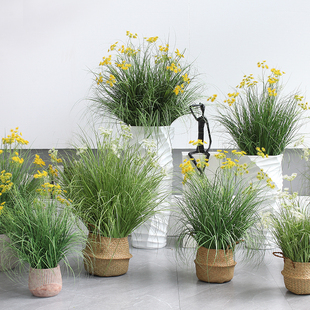仿真綠植滿天星草叢北歐ins網(wǎng)紅仿生植物室內(nèi)客廳商店櫥窗造景角