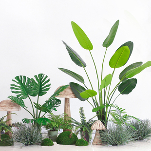 仿真植物旅人蕉不褪色绿植芭蕉树大型盆栽景观造景假树商场展厅