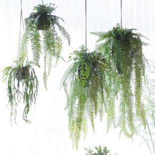 飾綠植家居商鋪櫥窗餐廳 西西里仿真垂吊植物草球綠野仙蹤吊掛盆裝