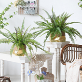 西西里仿真植物蕨草 桌面绿植家居书柜隔板餐厅办公室摆件 基础款