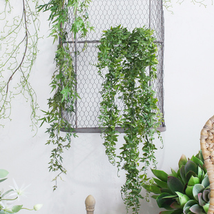 垂吊仿真植物空調管道裝 飾 仿真花藤綠葉藤條藤蔓假花 西西里花藝