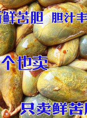 老偏方猪苦胆新鲜现宰农家土猪胆带汁完整鲜苦胆猪苦胆猪肉