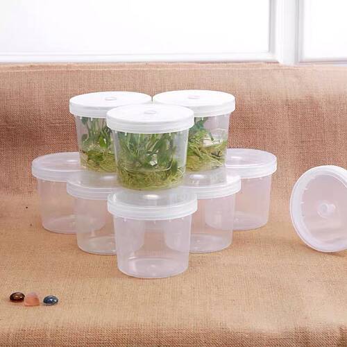 480ml1300ml塑料组培瓶加厚材料耐高温带透气盖植物组培瓶容器瓶