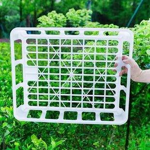 塑料组培框组培室专用白色塑料筐子