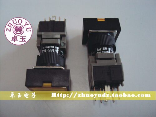 按钮开关AH165-TGLG11E3
