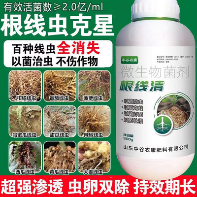 根结线虫药淡紫紫孢菌根瘤护理