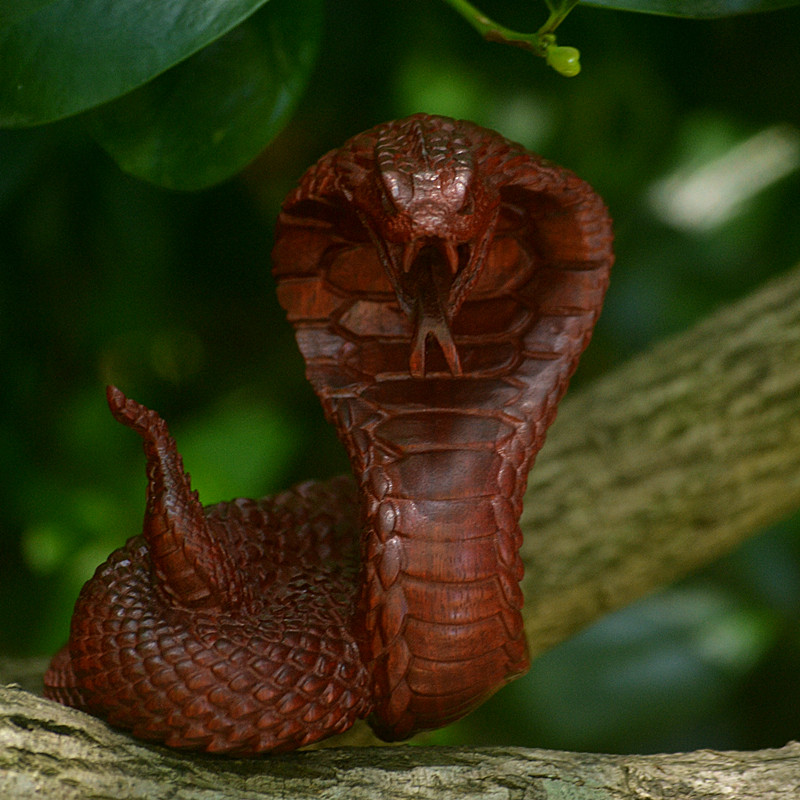 紫檀血檀木帝王眼镜蛇生肖蛇木雕手把件摆件转运文玩小摆件造像