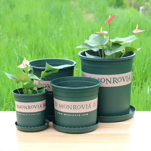 出口外贸加仑盆 环球pp环保塑料形花盆 居家种花种菜多功能花盆