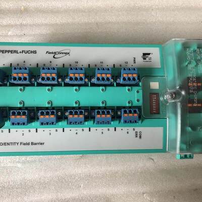 PEPPERL+FUCHS倍加福模块R4D0-FB-IA121 原装