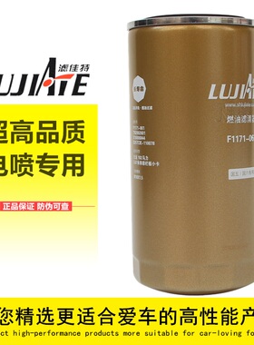 F1171-061长寿命X10006844云内F1209-061柴油滤芯X10018956滤清器