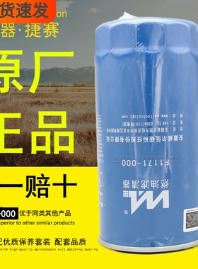 威尔F1171-000燃油精滤器D25TCIE-110078柴油滤清器F1171-061滤芯