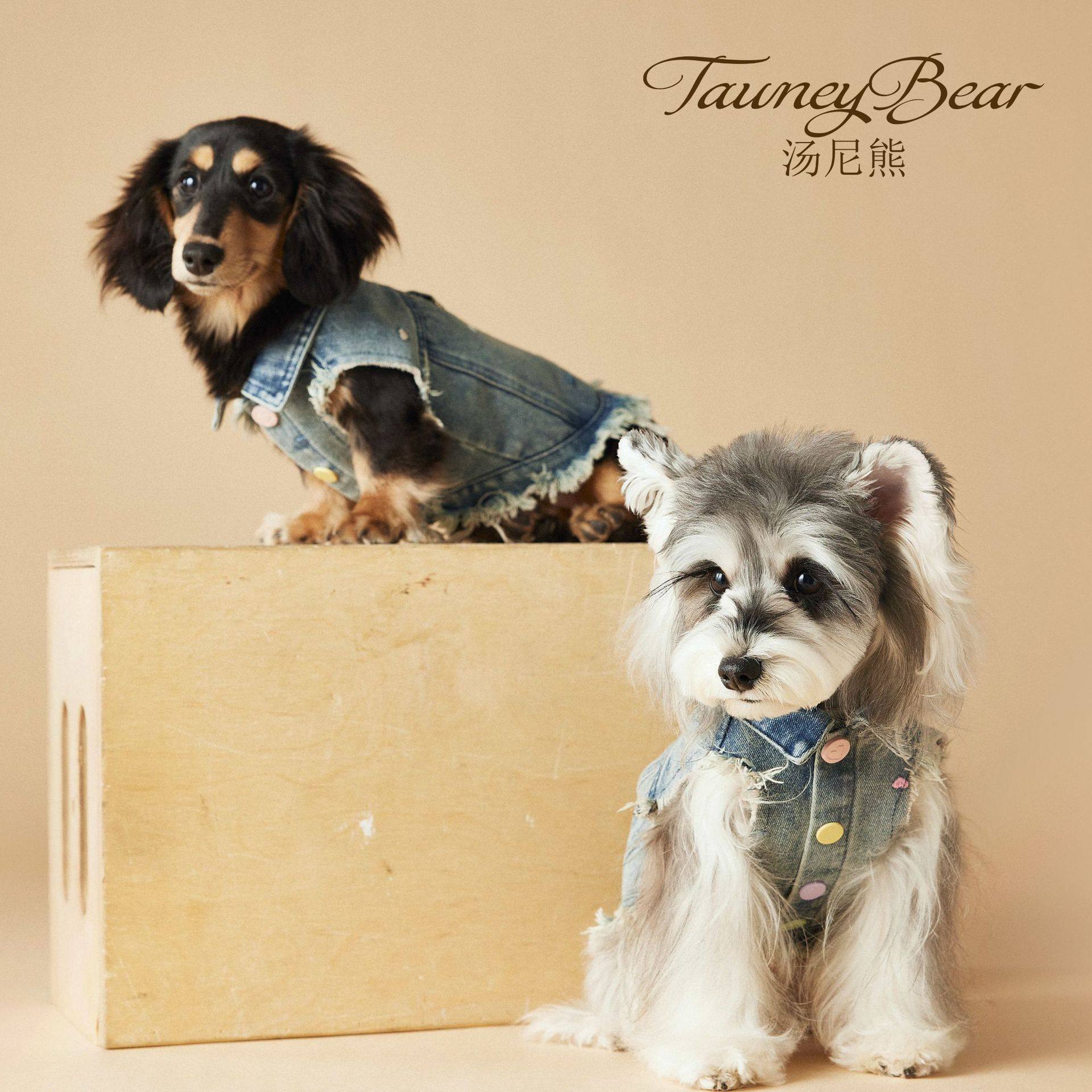 汤尼熊狗狗衣服春夏绣花毛边牛仔马甲马尔济斯雪纳瑞腊肠比熊泰迪