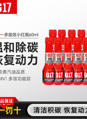 德国巴斯夫原液G17汽油燃油添加剂汽车燃油宝除积碳油路清洗剂