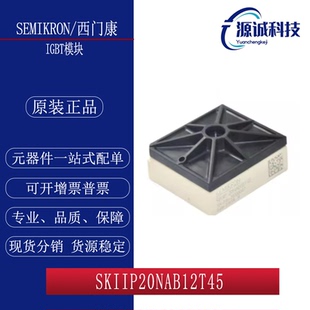 SKIIP20NAB12T45 SKIIP20NAB12T17 SKIIP22NAB12T18/13AC12T4V1