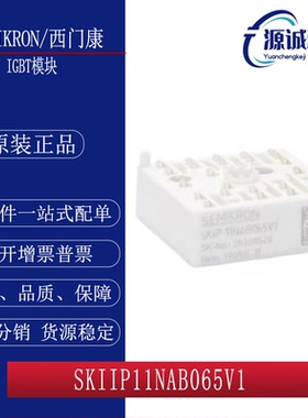 全新现货SKIIP11NAB065V1 SKIIP13NAB065V1 SKIIP14NAB065V1模块