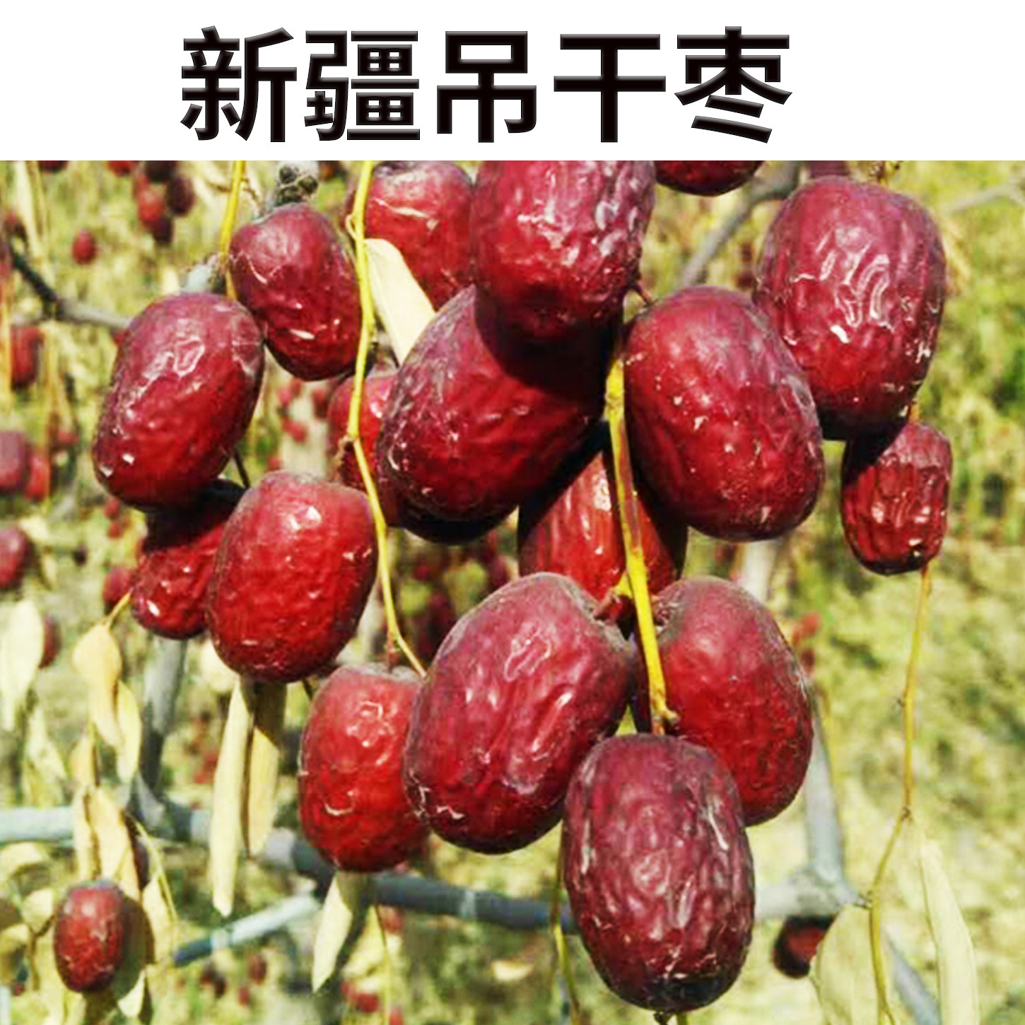 25年吊干枣5斤装新疆若羌红枣泡茶水专用纯散装天然高品质小枣子