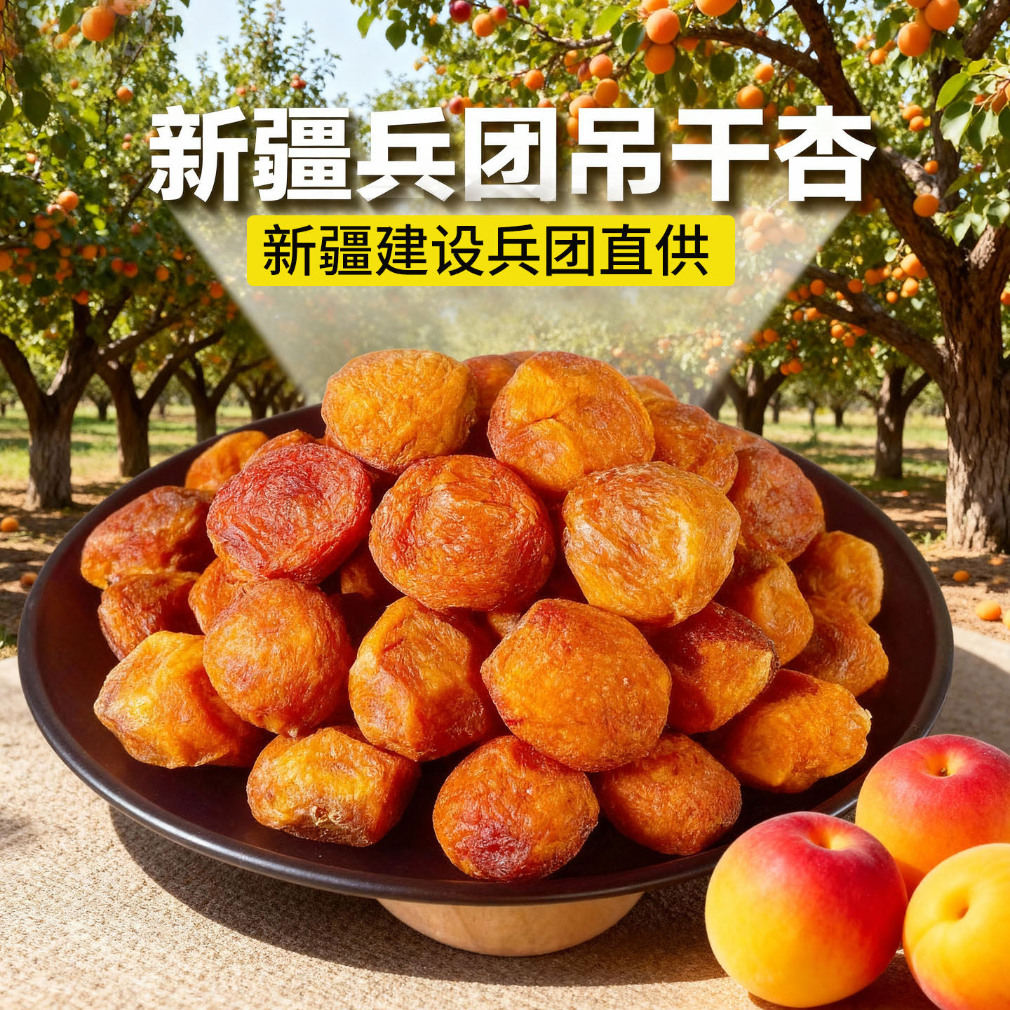 正宗新疆杏干天然无添加剂杏肉  四团吊干杏小红杏子干果脯特产酸