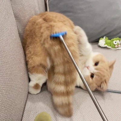 挠痒痒逗猫棒长杆自嗨解闷神器质量好的猫咪用品大全猫玩具刷子
